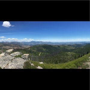 Meet your Posher, Bree